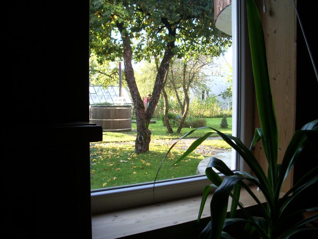 Maenni Guesthouse Haapsalu Habitación foto
